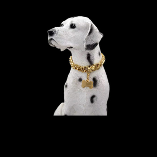 Gelati PETS Miami Link Titanium Hybrid Lock Collar